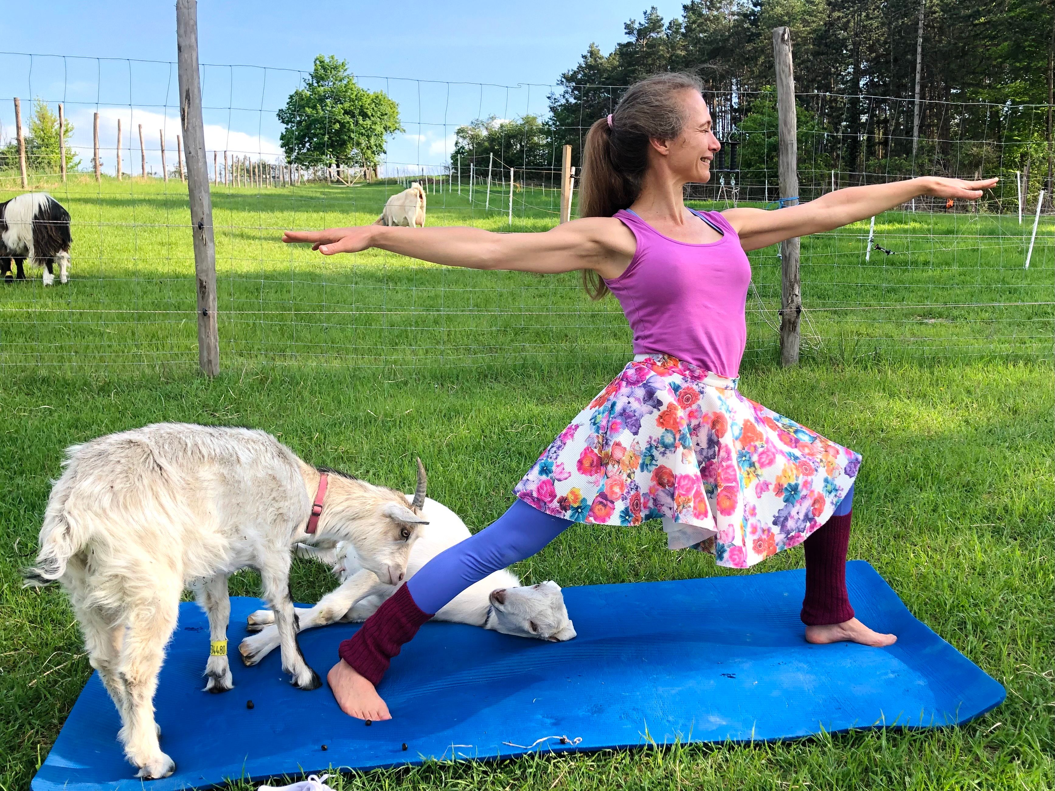 Woman doing yoga pose on mat outdoors with goats around her.