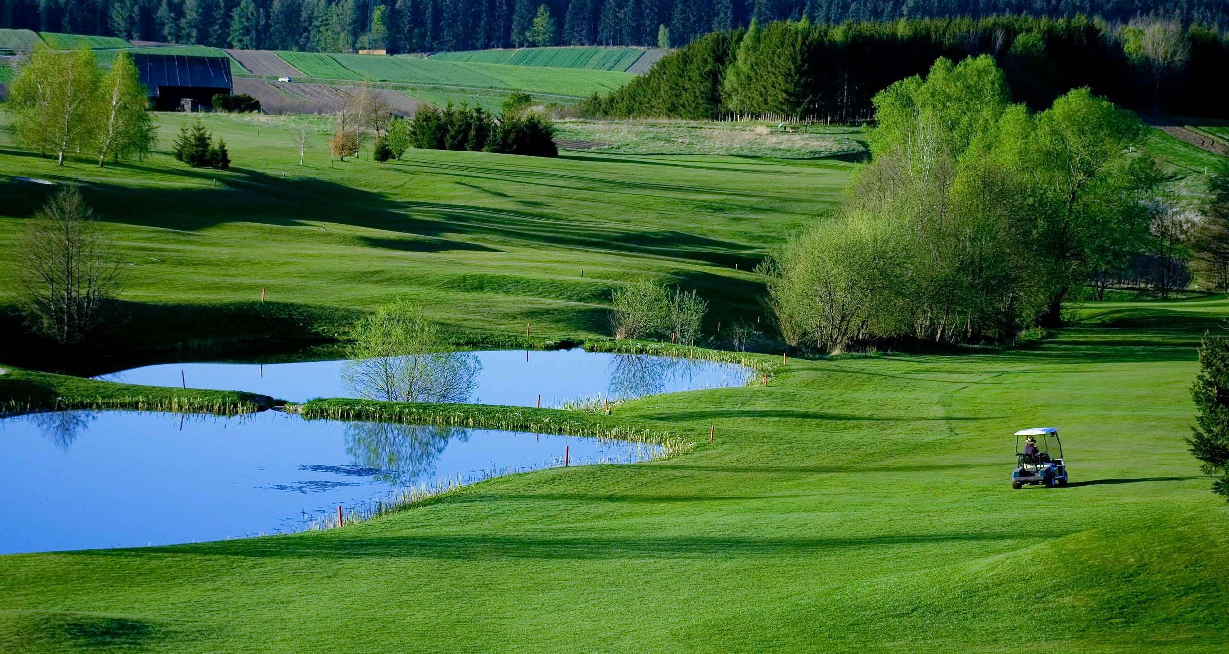 Golf course with pond and golf cart, surrounded by green trees and meadows.