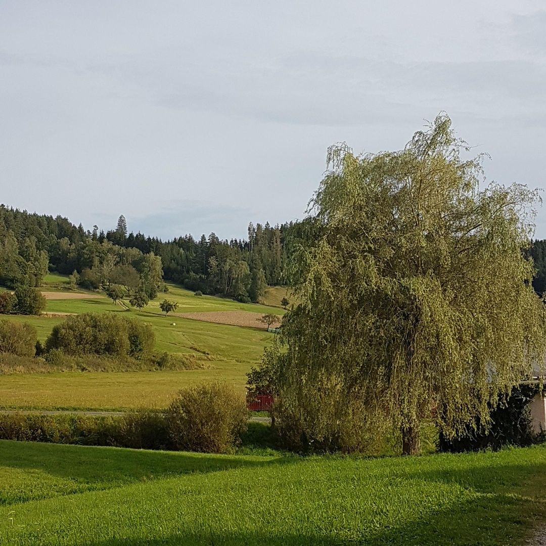 Village path