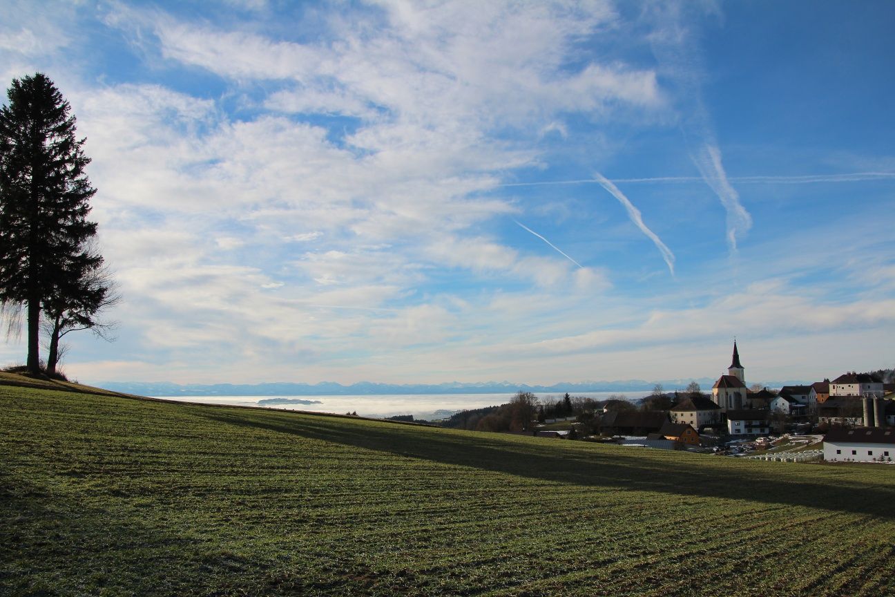 Magnificent view from the Peace Cross in St. Oswald (view of the Alps and the Yspertal)