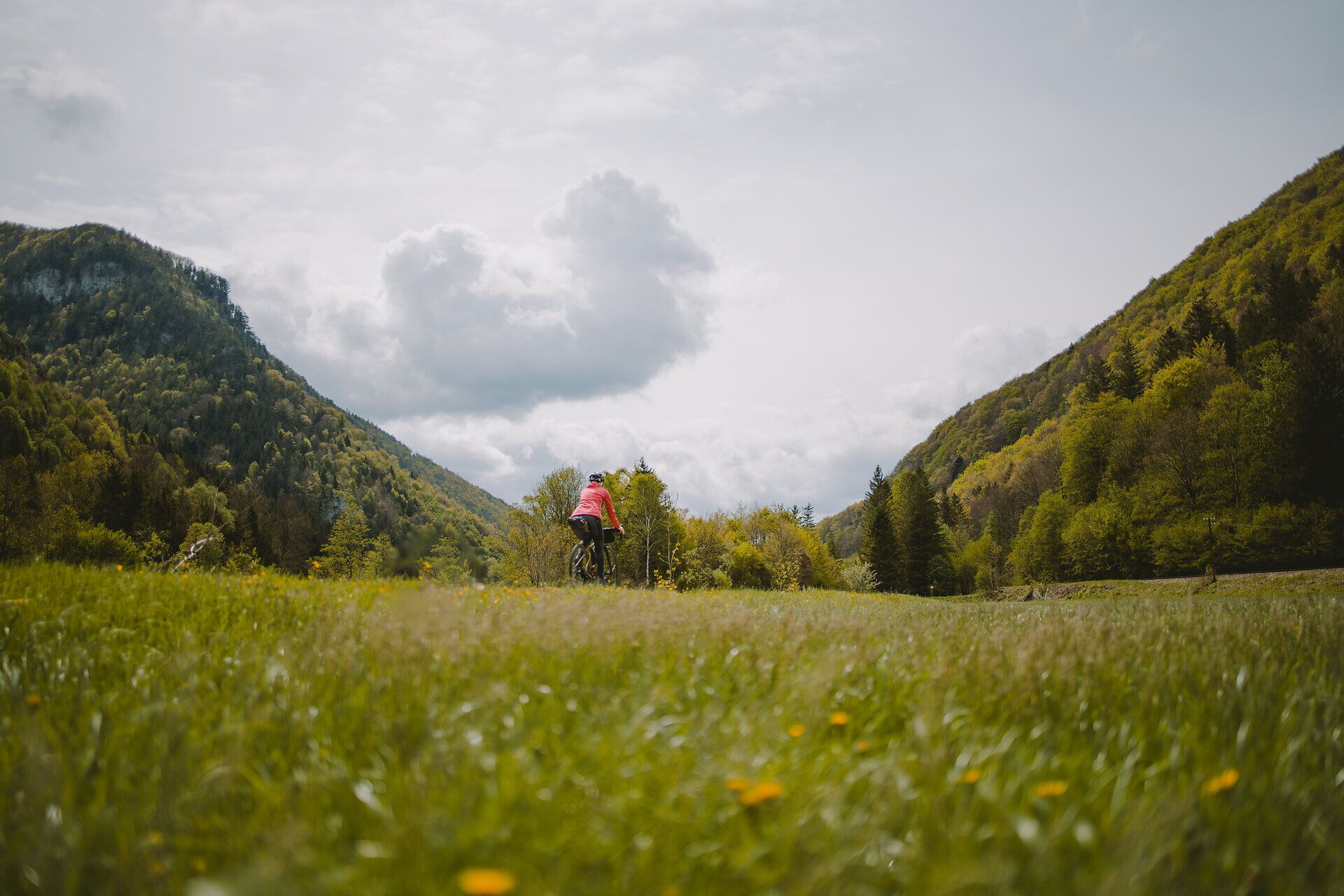A picturesque cycle path meanders along a gently babbling brook, surrounded by lush greenery and flowering meadows. The clear air and bright sunshine invite you to enjoy the beauty of nature and unwind.