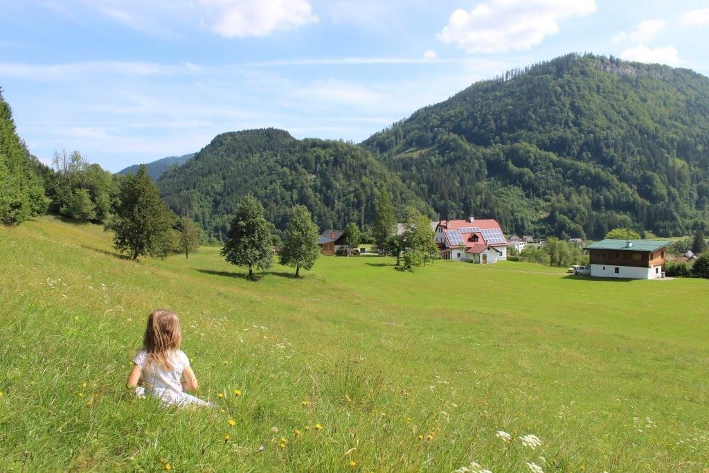 Landscape around the Kirchau vacation farm
