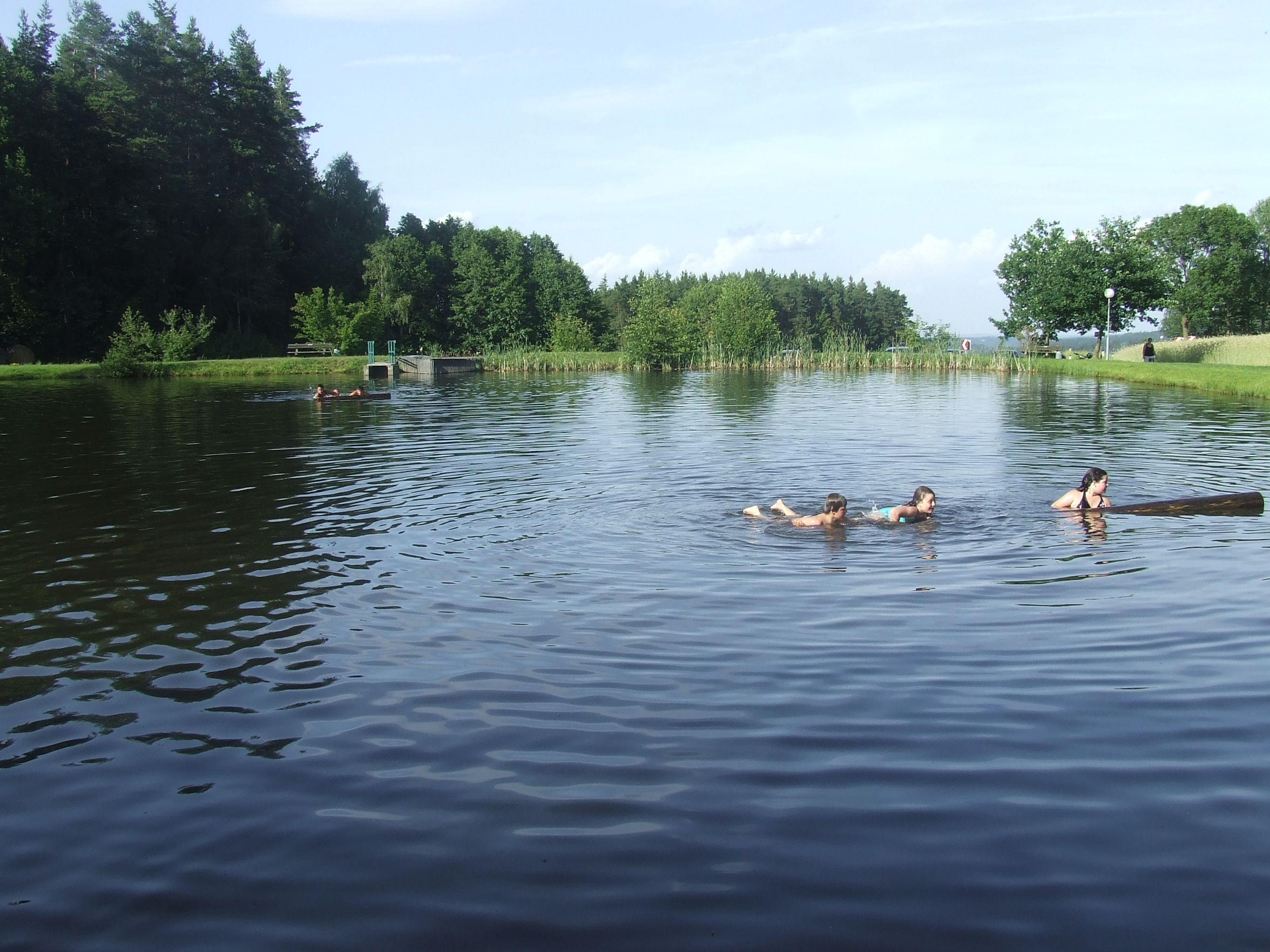 People swimming in a natural bathing pond surrounded by trees.