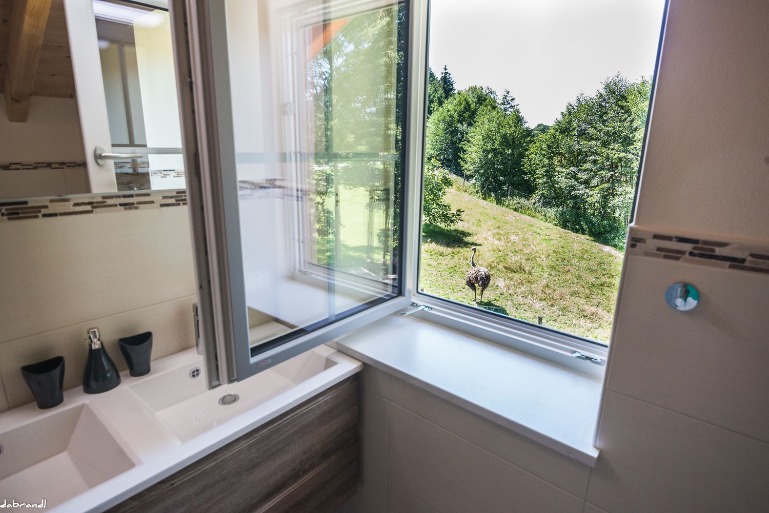 view-bathroom