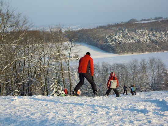 People skiing on a snow-covered hill with trees in the background.