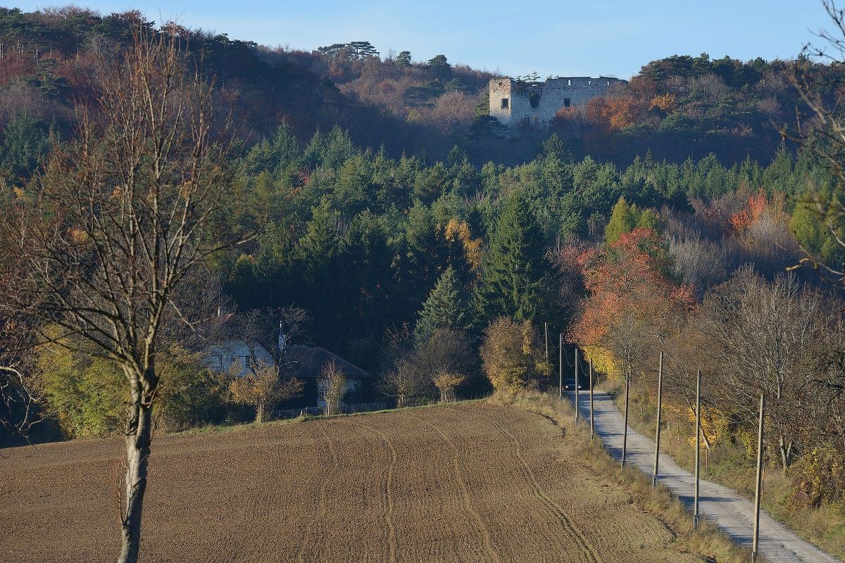 View of the Merkenstein ruins