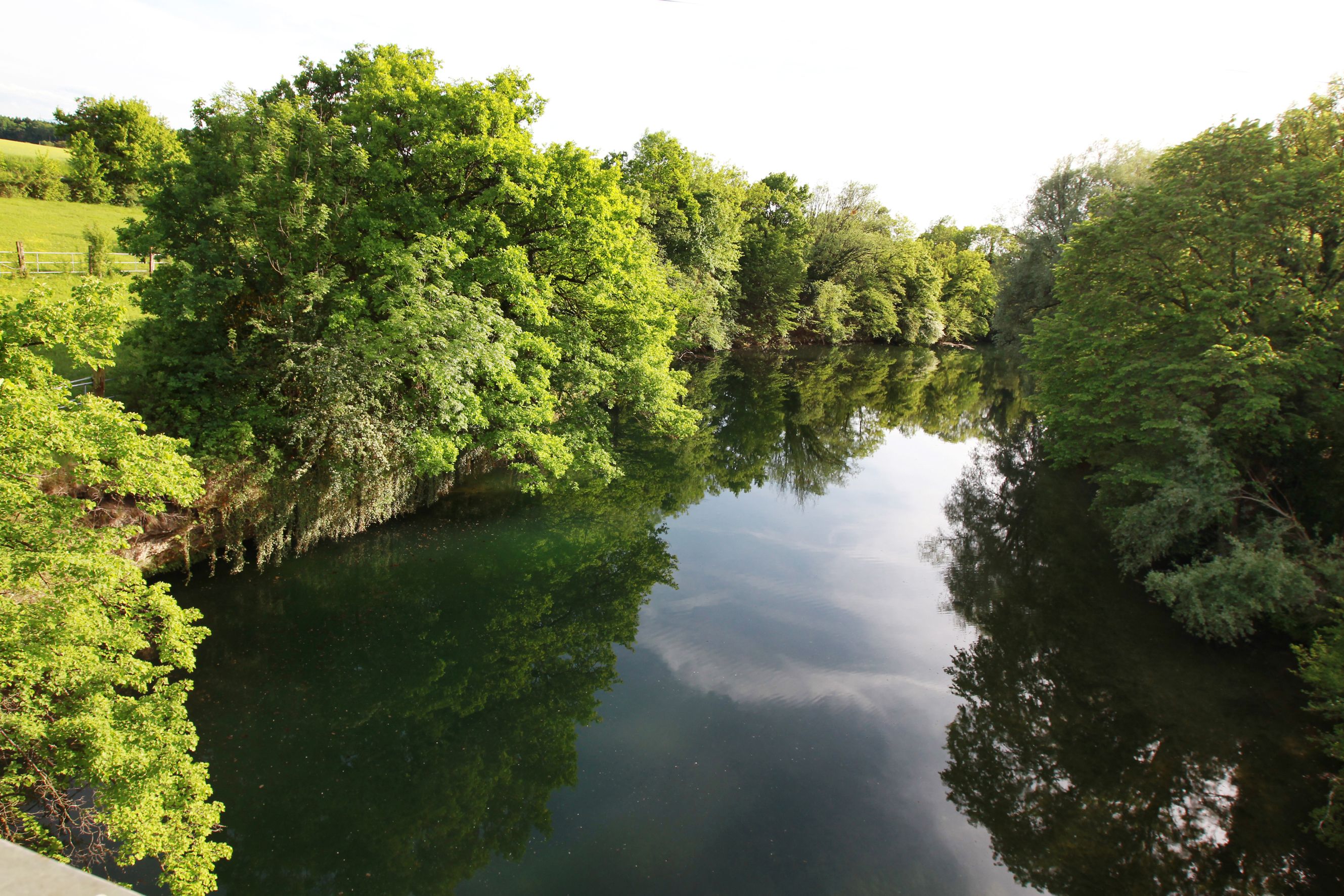River Erlauf near Wieselburg with green trees on the banks.