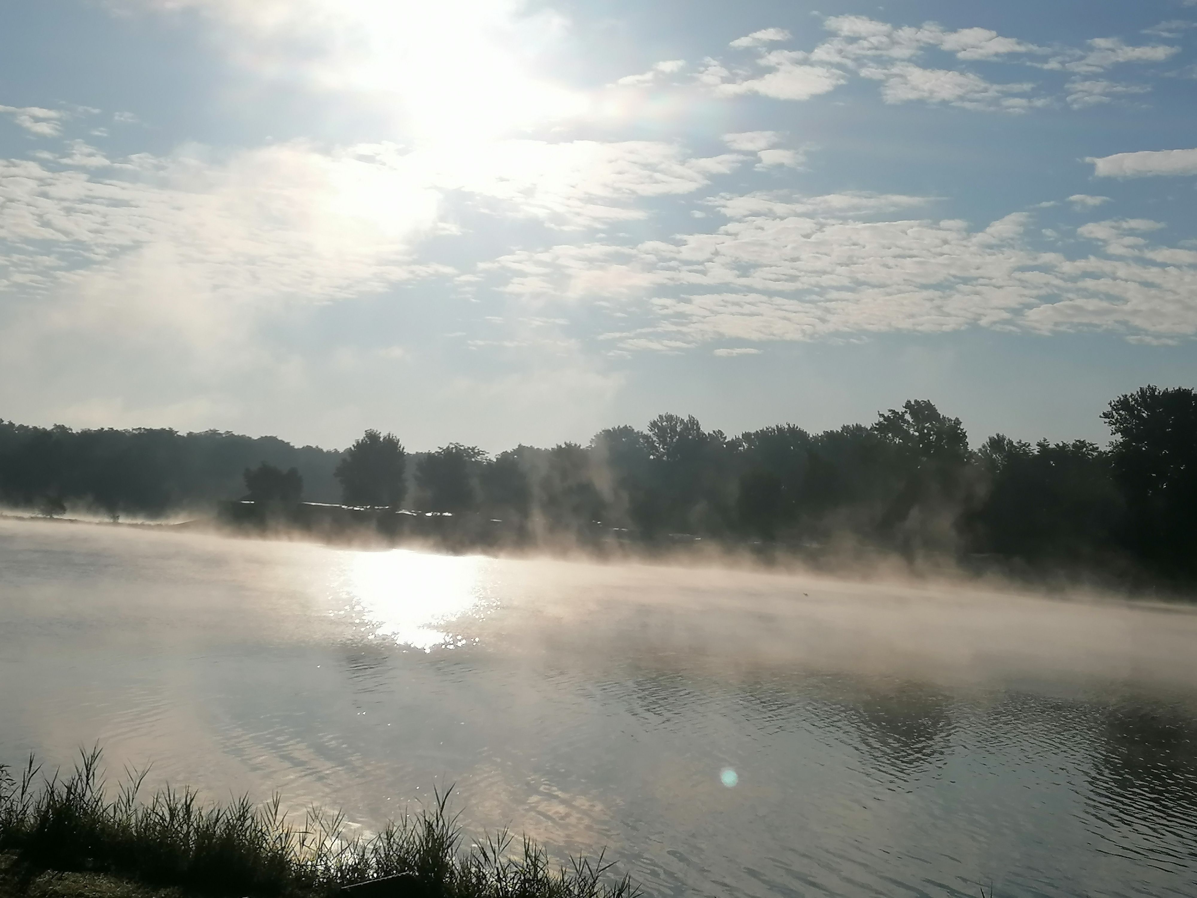 A misty lake at sunrise with trees in the background.