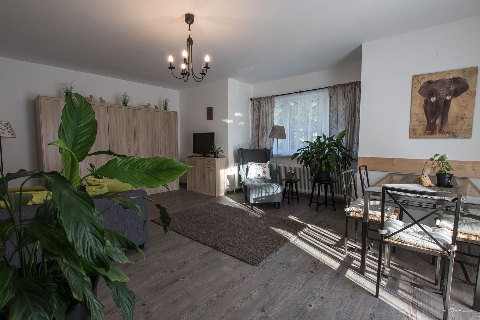 Cozy living room with plants, dining table and sofa.