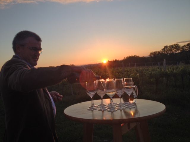 A man pours wine into glasses on a table at sunset in a vineyard.