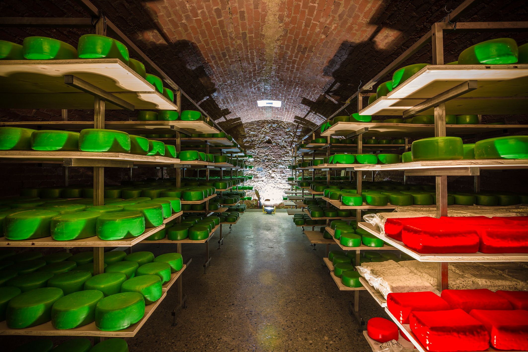Maturing cellar
