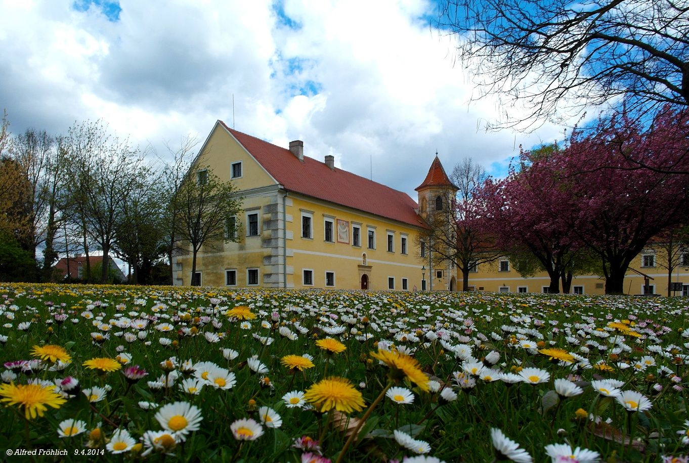 Atzenbrugg Castle with flowering meadow in the foreground.