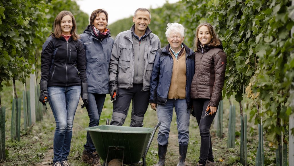 Five people stand smiling in a vineyard with a wheelbarrow.