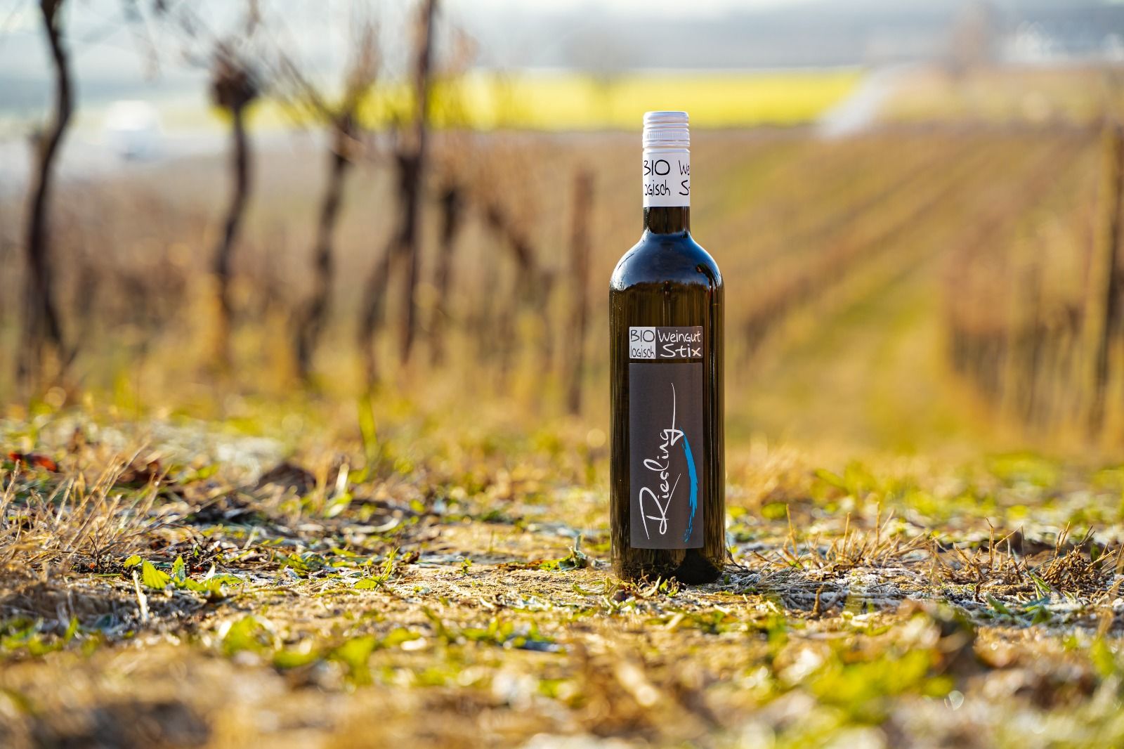 A bottle of organic wine from the Stix winery stands in a vineyard.