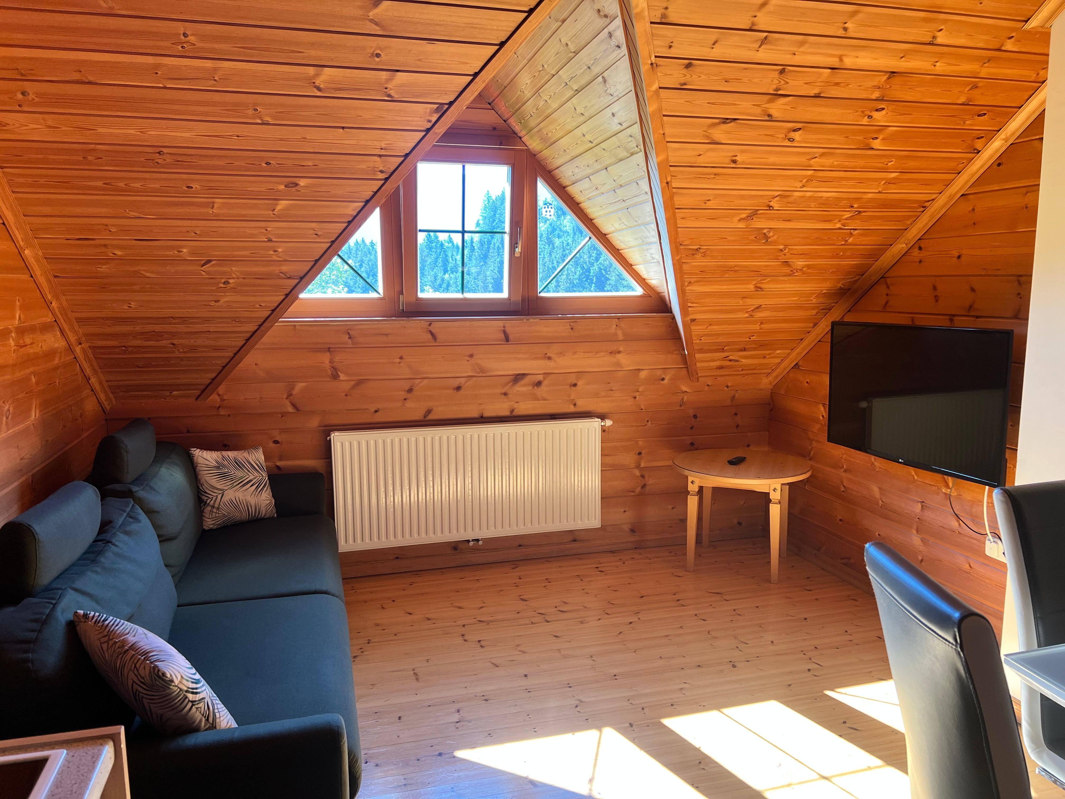 A cozy living room in an attic apartment with wood paneling, a sofa, a TV, and a skylight.