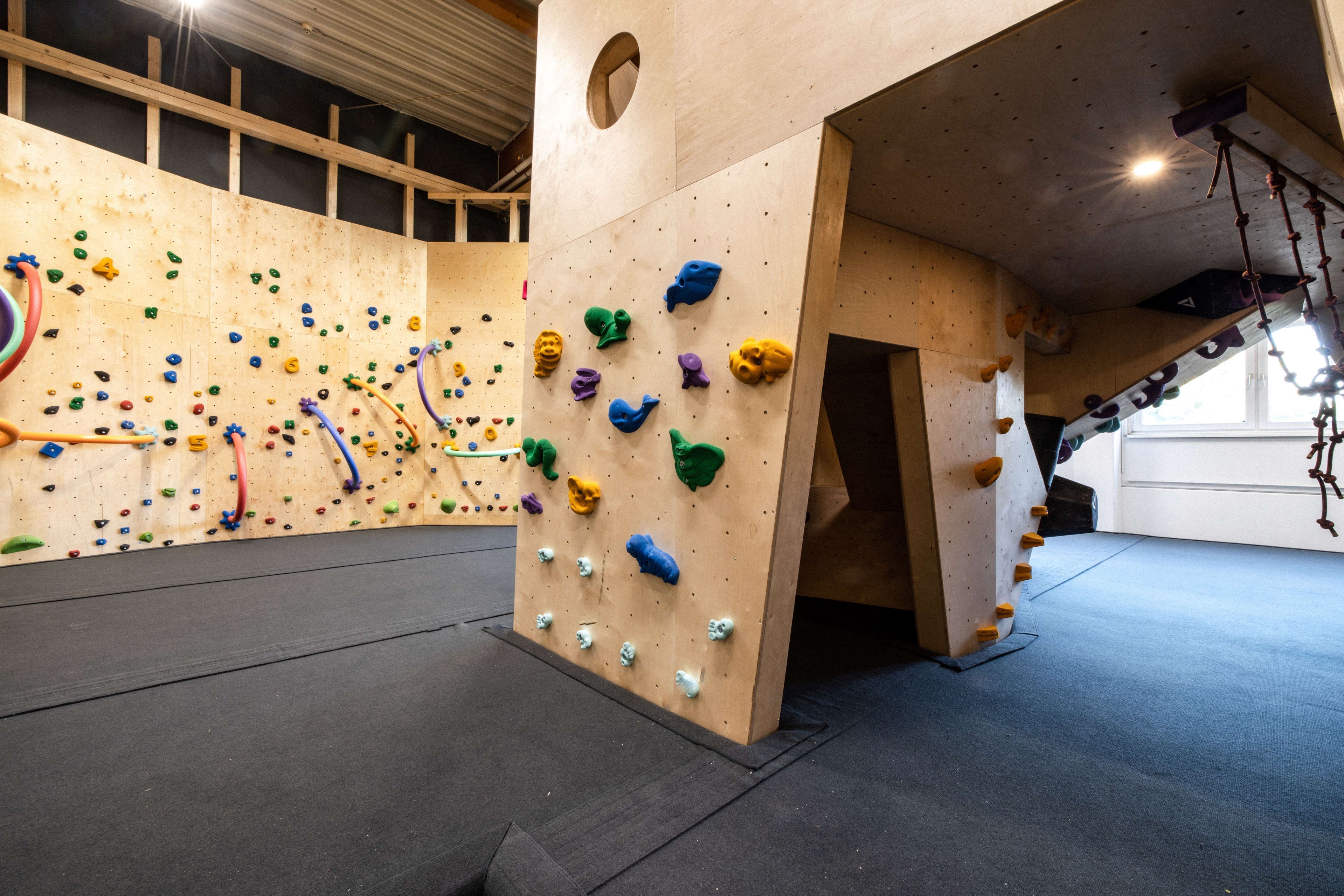 Interior view of a climbing hall with colorful climbing holds on wooden walls.