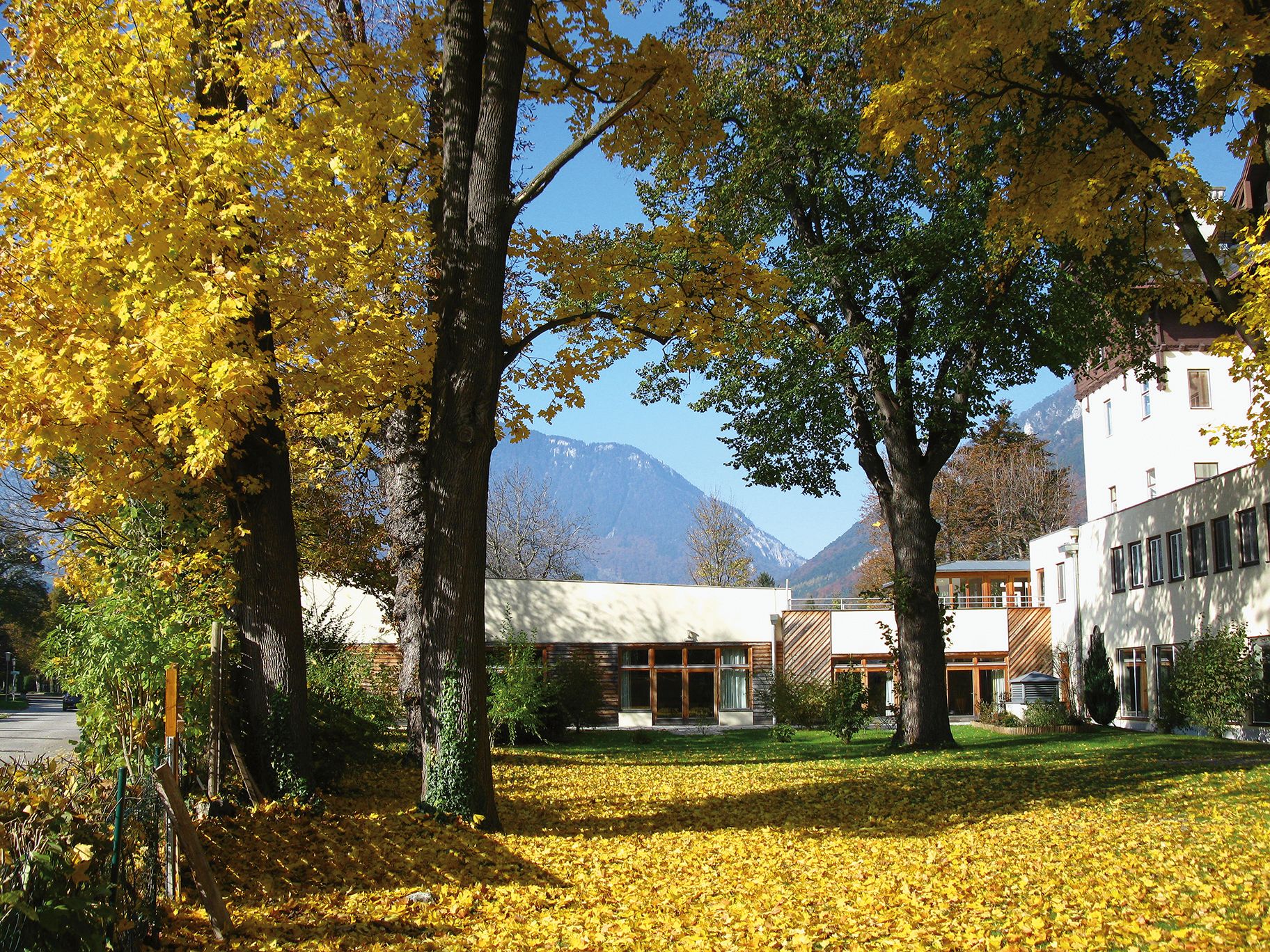 Autumn scene with hotel building and yellow leaves on the ground.