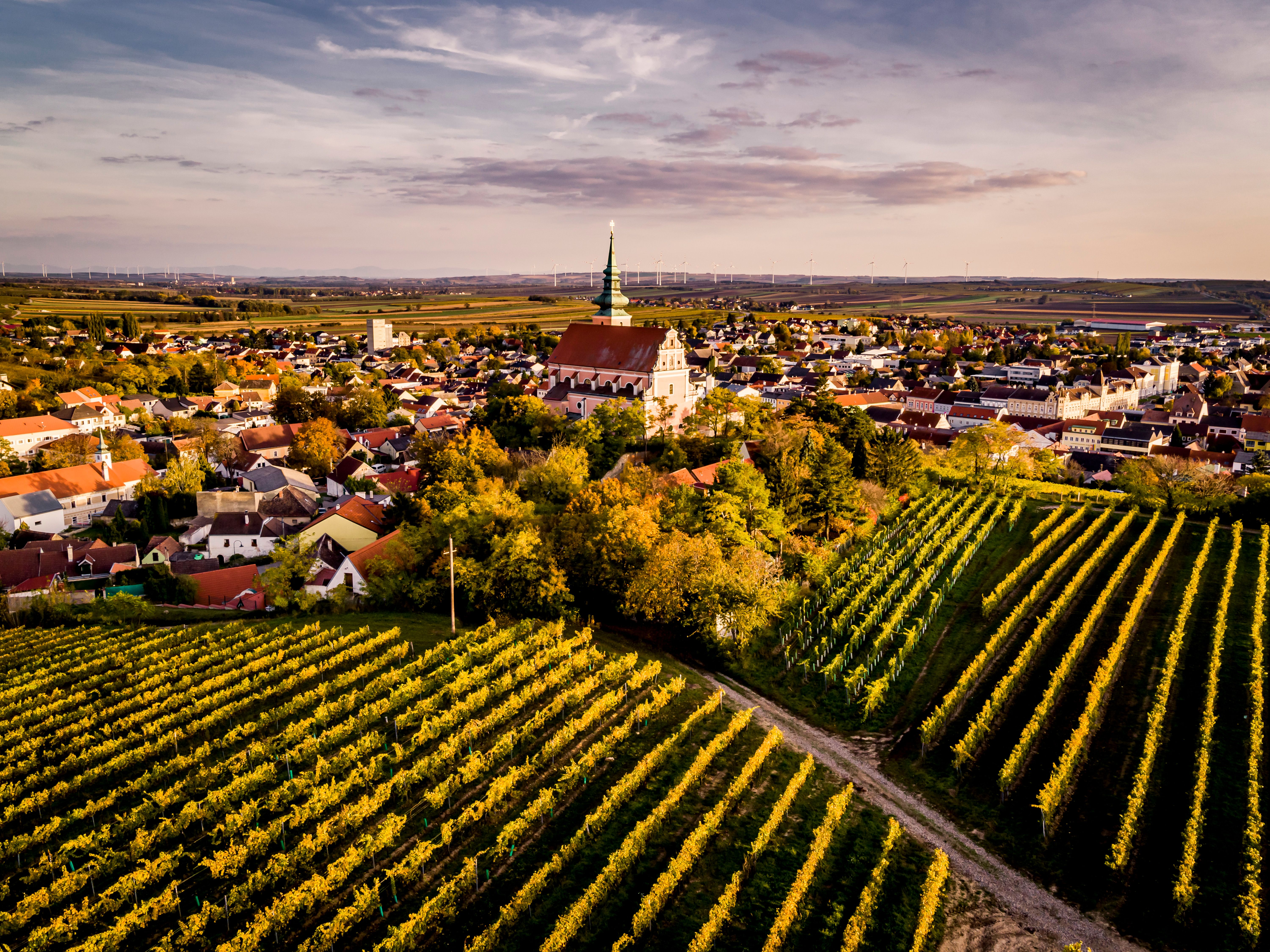 Aerial view of a town with a church and vineyards in the foreground.