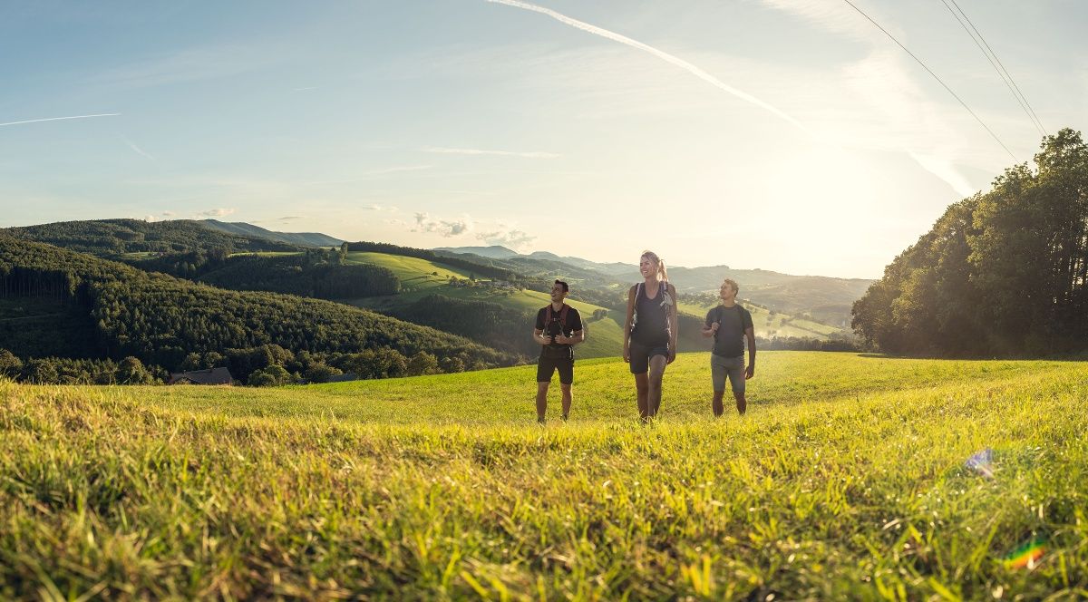 Hike to the Sophienalpe