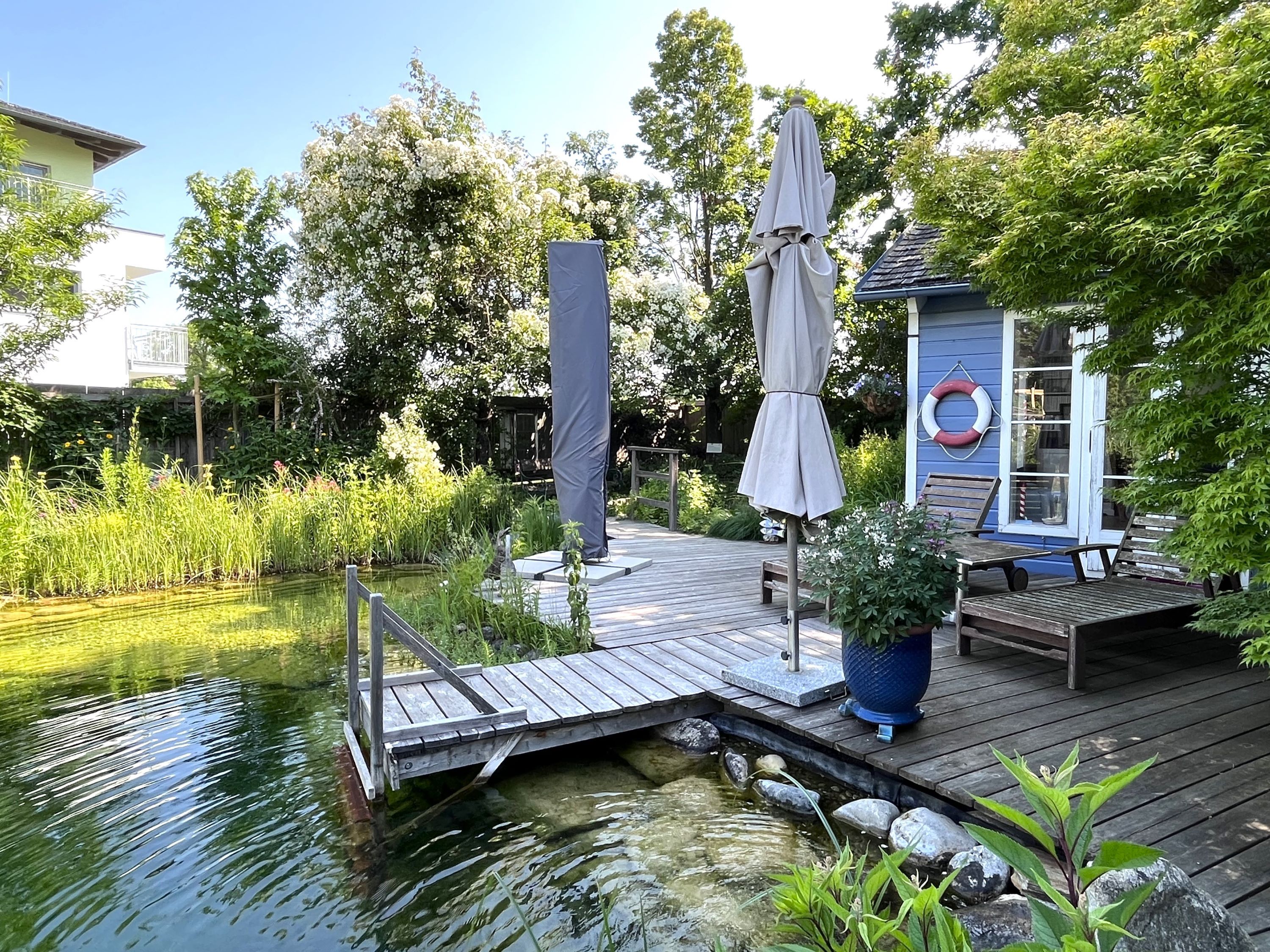 Garden with pond, wooden terrace, sun loungers and parasol.