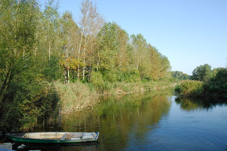 A calm river with a small boat on the bank, surrounded by dense forest and clear skies.