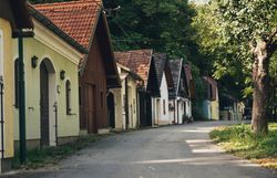 Row of wine cellars in a green, wooded setting.