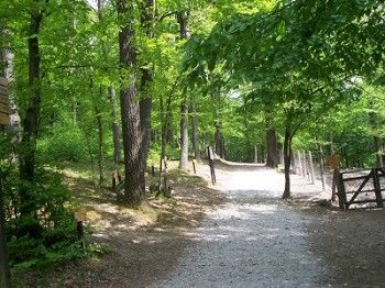 The Vienna Woods on the doorstep