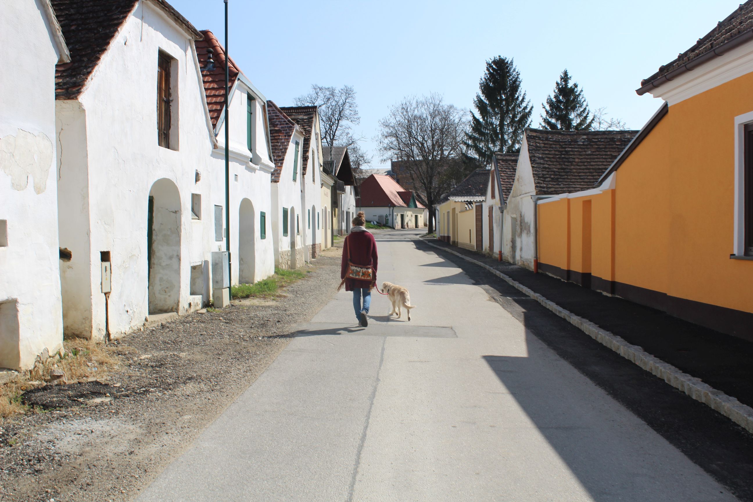 Person with dog in the wine cellar lane Mailberg, surrounded by traditional buildings.