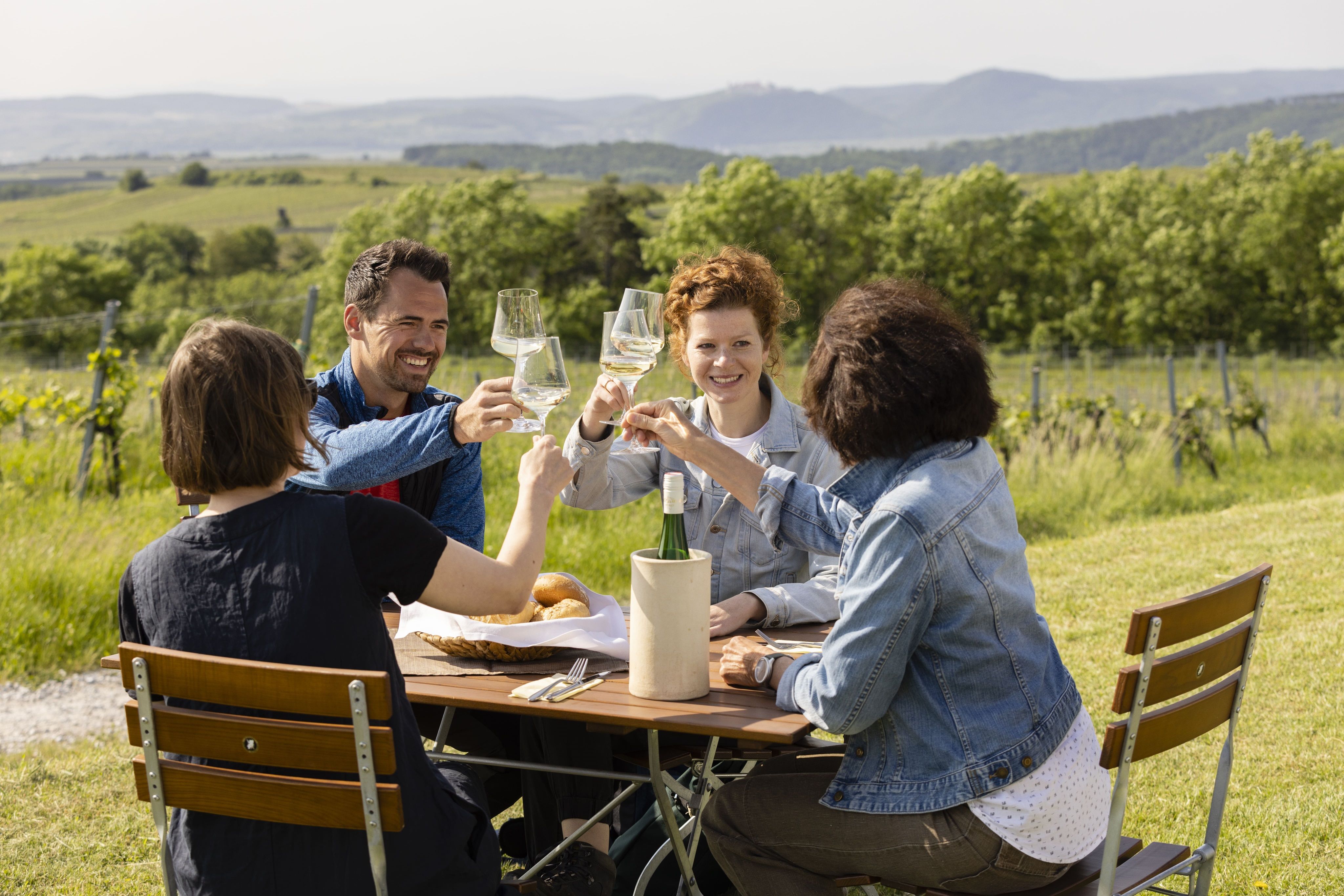 Four people clink glasses at an outdoor table with vineyards in the background.