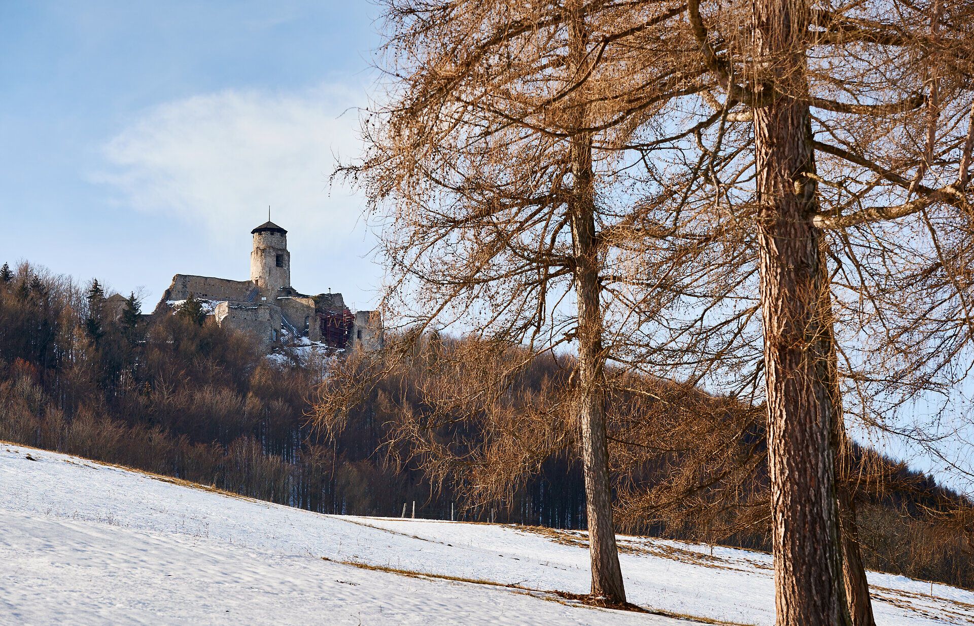 Die sanften Hügel des Wienerwaldes sind mit einer zarten Schneedecke überzogen, während die majestätische Burg im Hintergrund stolz über die Landschaft wacht. Die kühle Winterluft lädt zu einem Spaziergang ein, um die ruhige Schönheit der Natur zu genießen.