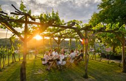 Wine cellar lane with wine cellars and vines, blue sky.