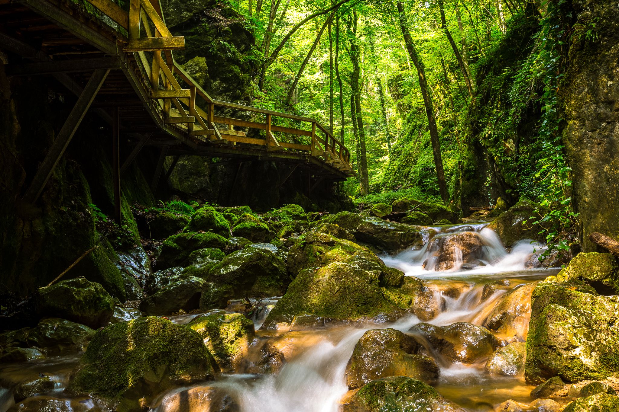 A wooden footbridge leads through a green gorge with flowing water and moss-covered rocks.