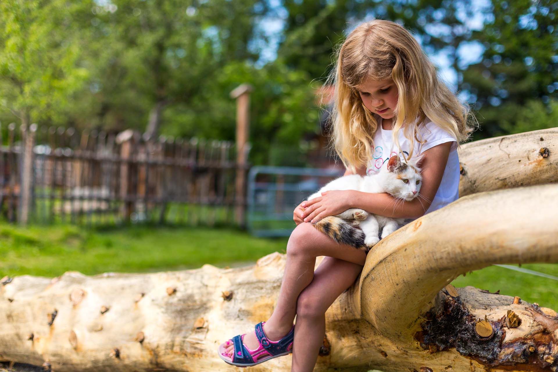 A girl sits on a tree trunk and holds a cat in her arms.