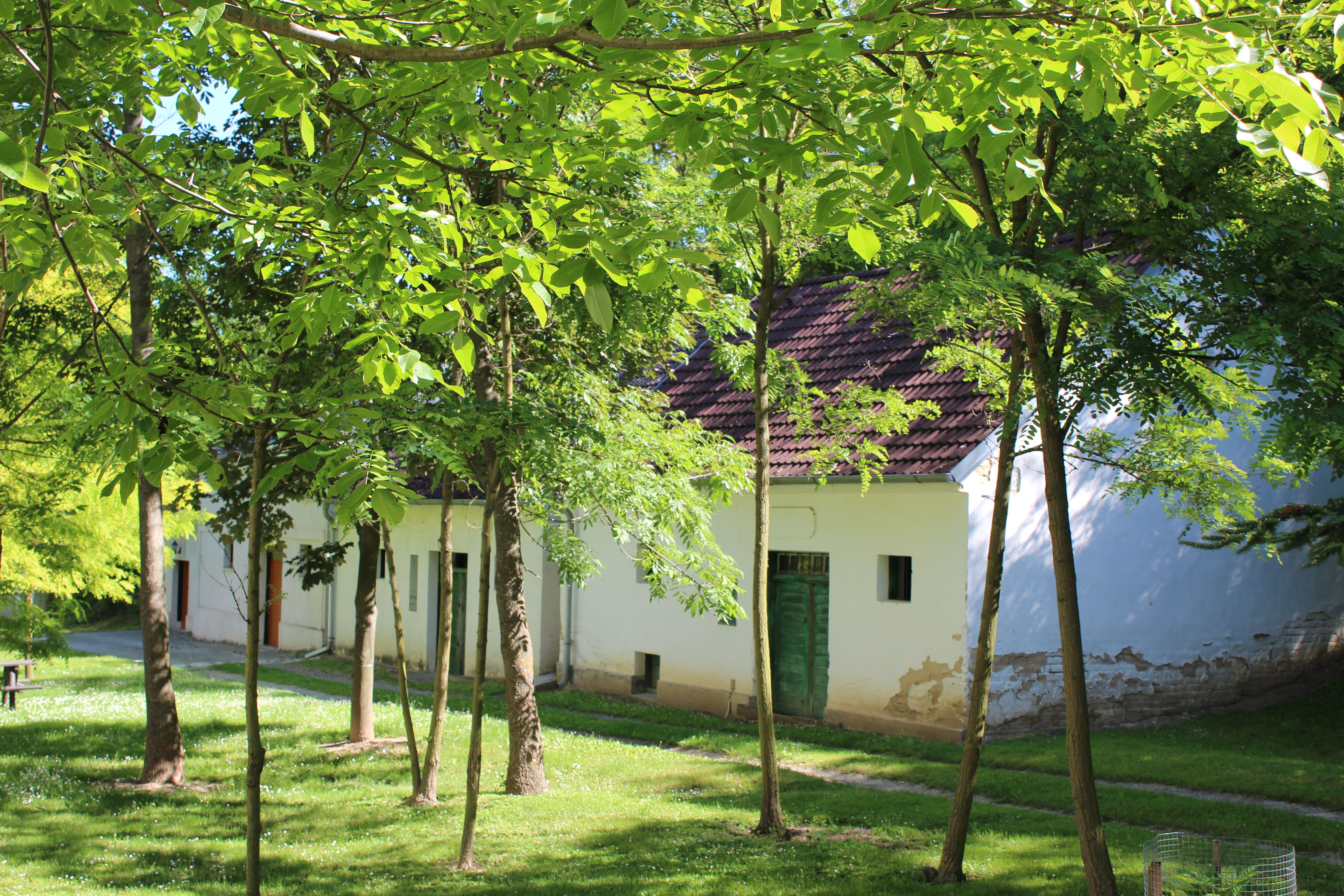 White building with green gate, surrounded by trees and grass.