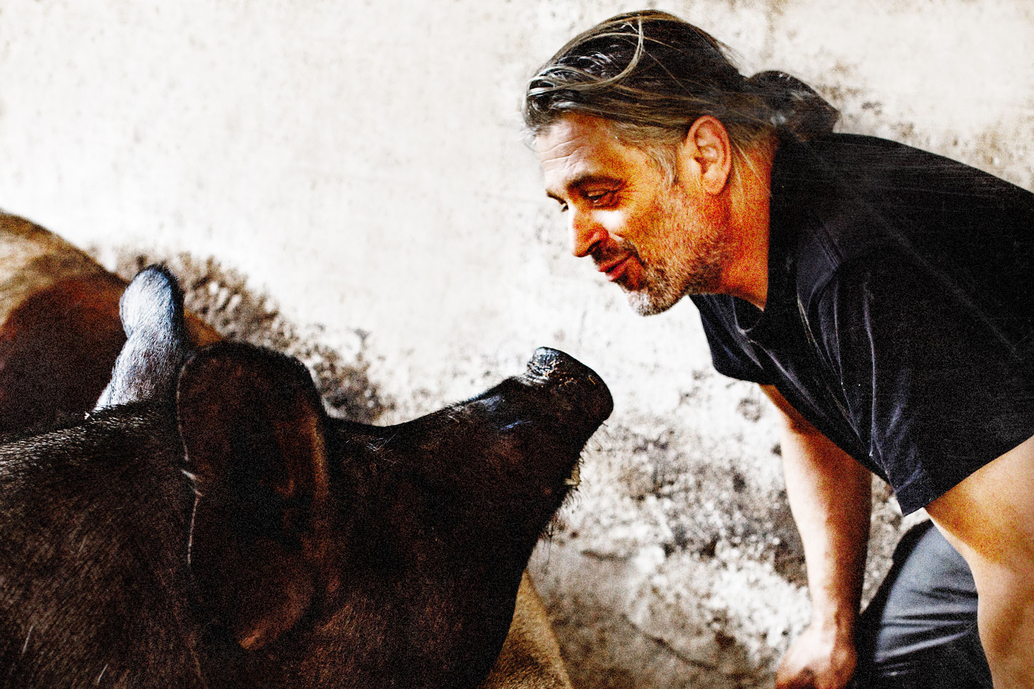 A farmer leans down, smiling, toward a pig that is looking at him.