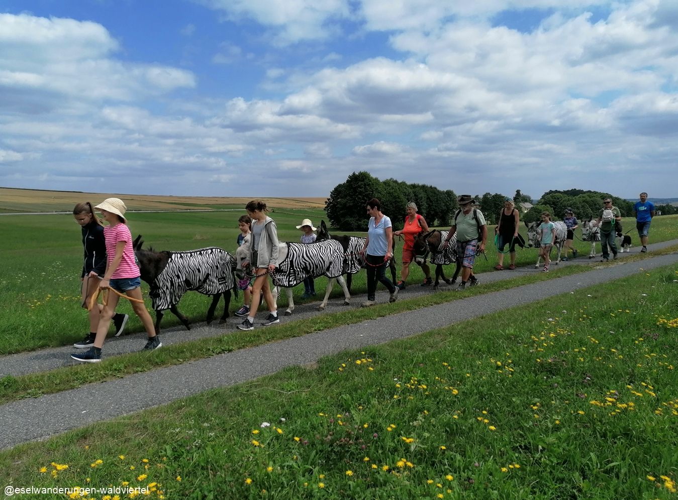 Donkey trekking