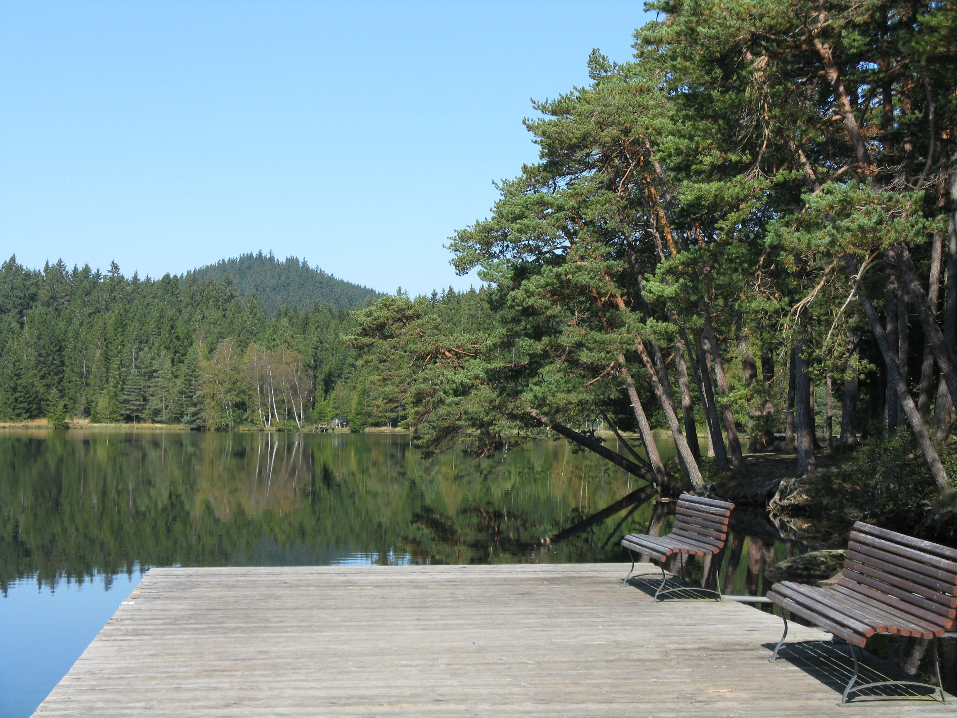 Wooden footbridge with benches on Lake Edlesberg, surrounded by forest.