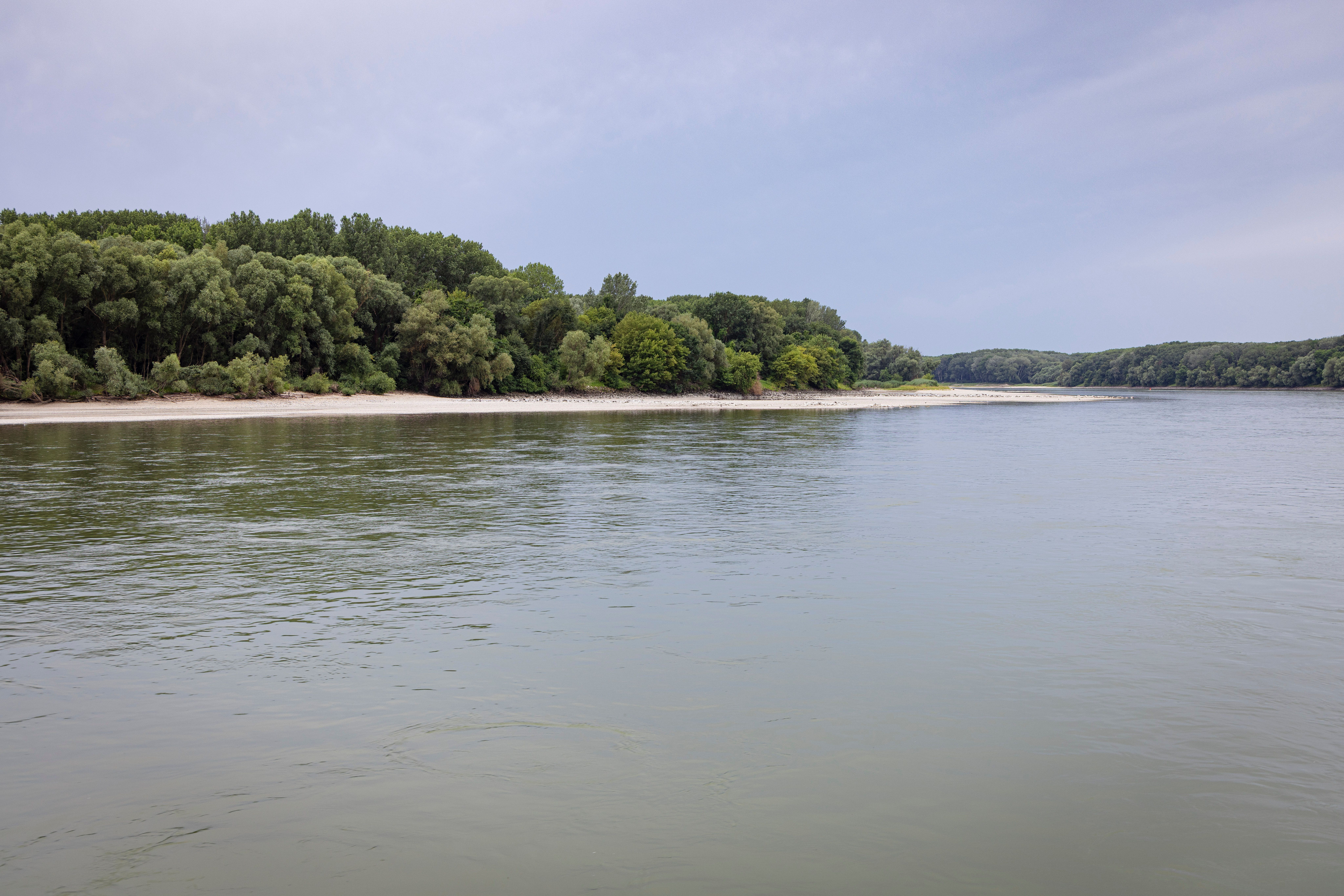 River landscape with wooded banks and calm water.