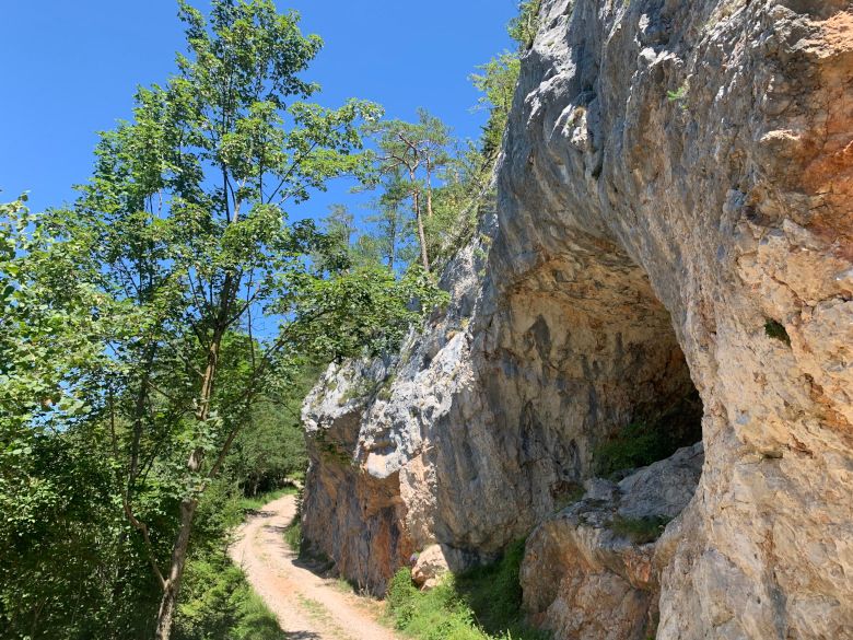 A hiking trail in the Falkenstein Nature Park leads past a rock face with a cave, surrounded by trees and blue sky.