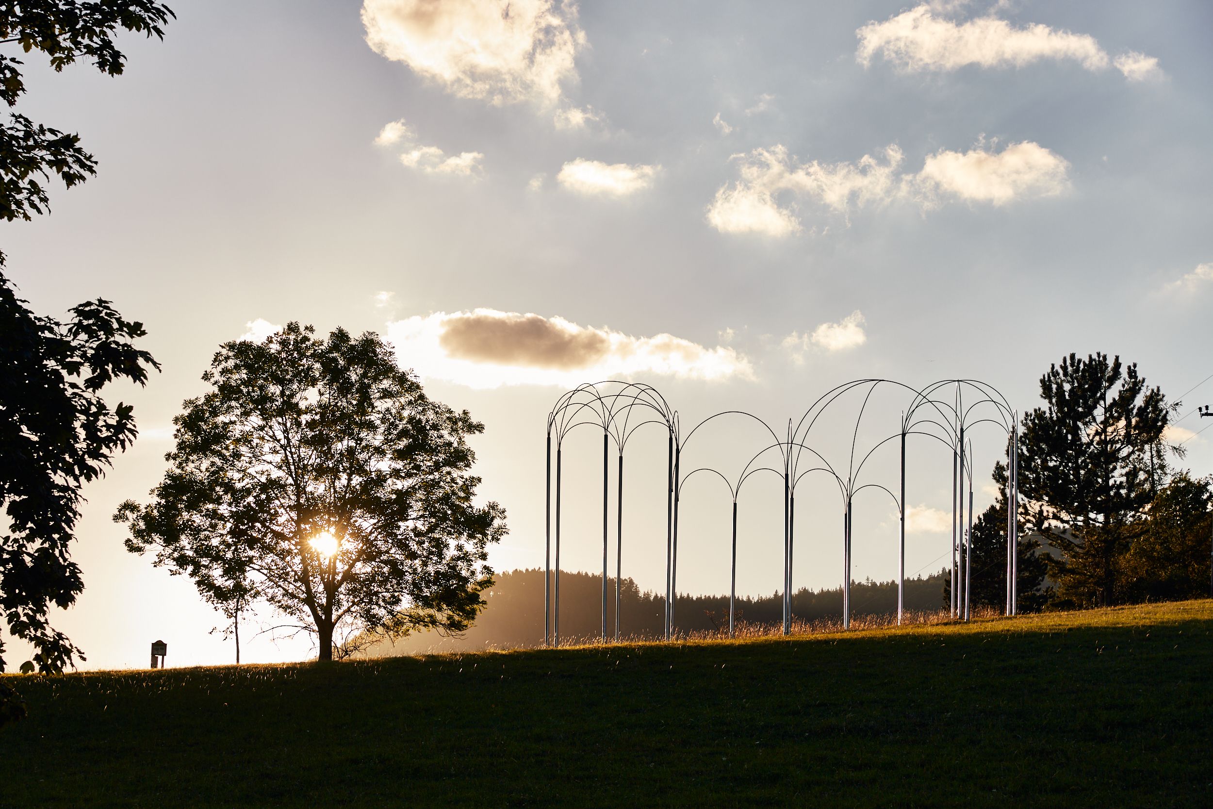A tree and a metal sculpture in a meadow at sunset.