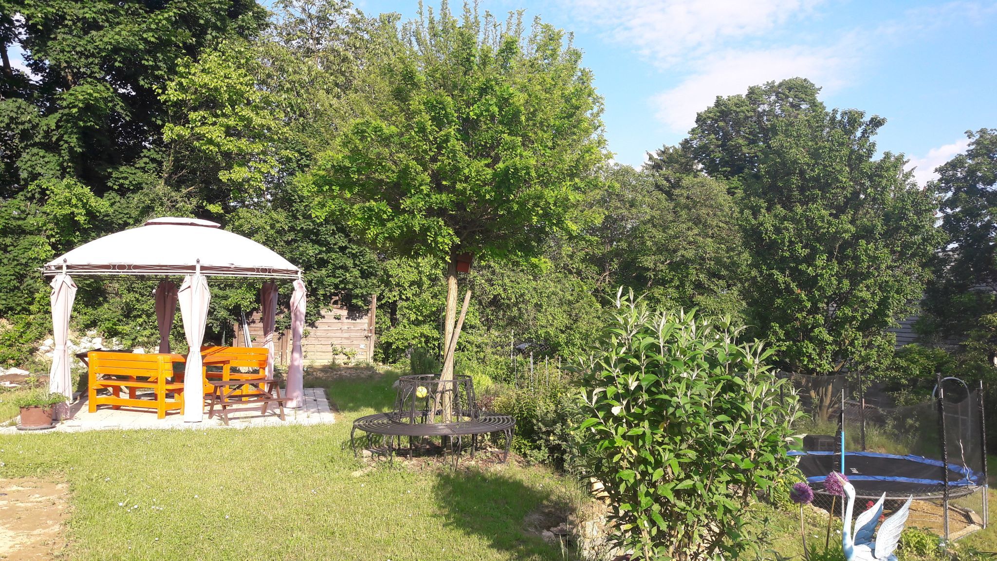 A garden with pavilion, benches, trampoline and trees.