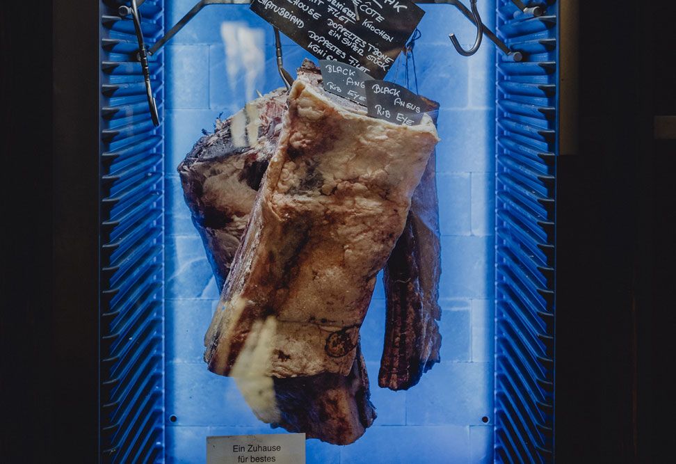 Large piece of meat in a maturing cabinet with blue lighting.