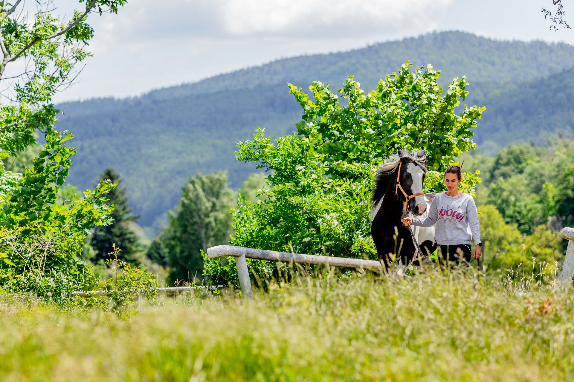 A woman leads a black and white horse through a meadow in front of a wooded mountain landscape.