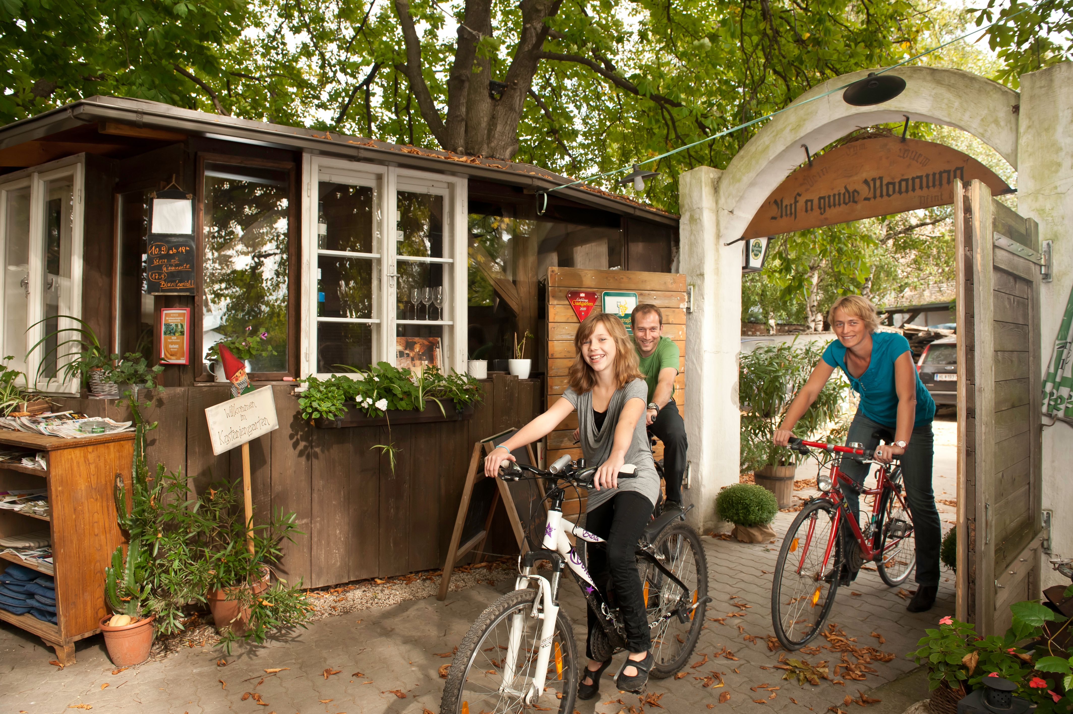 Three people on bicycles ride through an archway in a garden with chestnut trees.