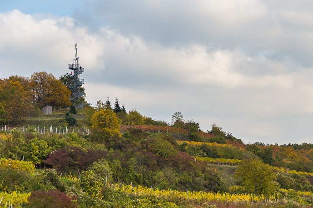 Observation tower surrounded by autumnal vineyards and trees.