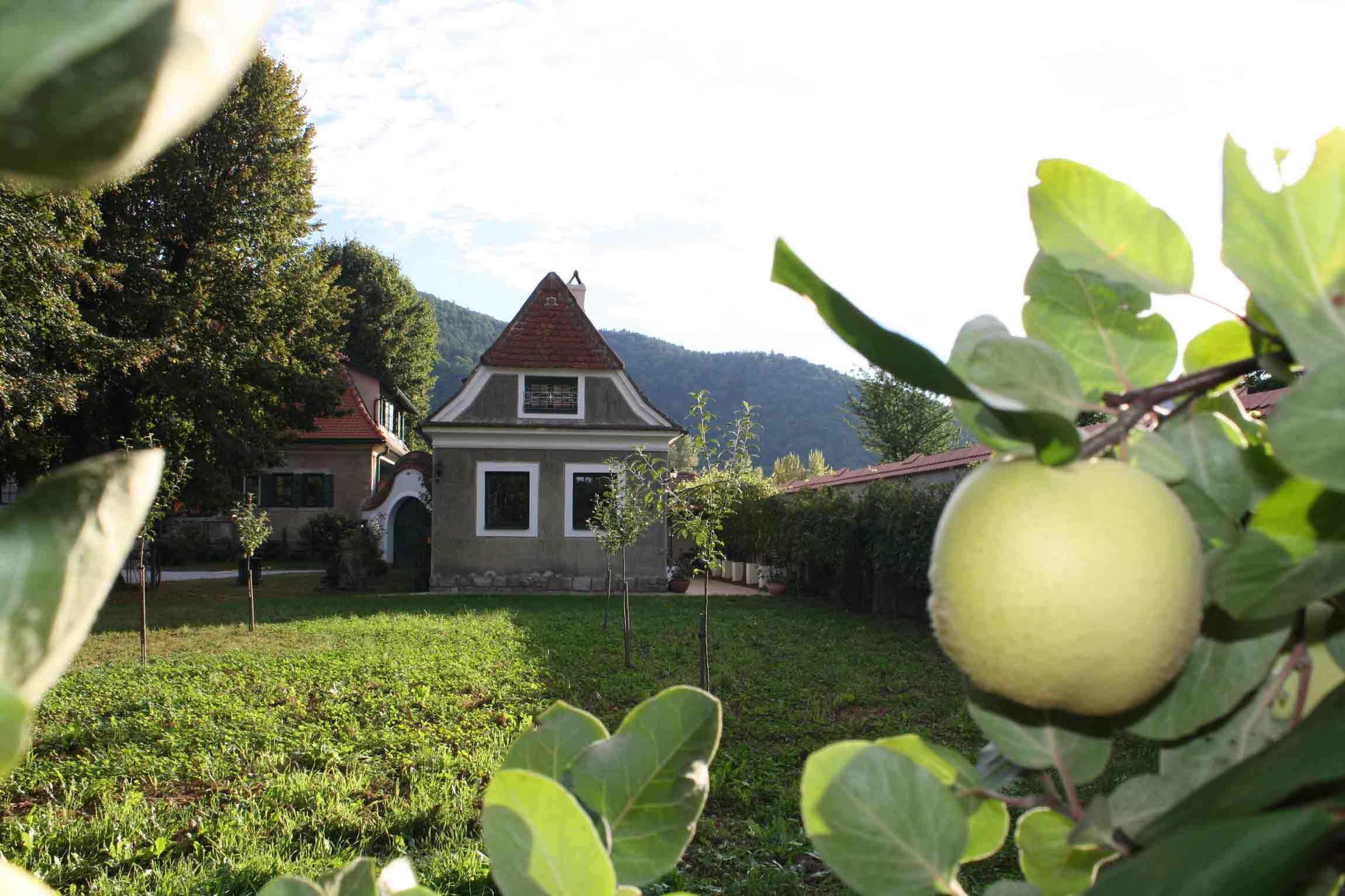 Garden view with small house and fruit tree in the foreground.