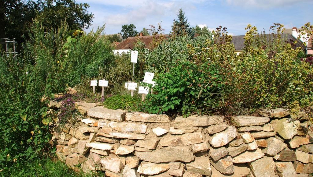 Herb bed on a dry stone wall with signs, surrounded by plants and trees.