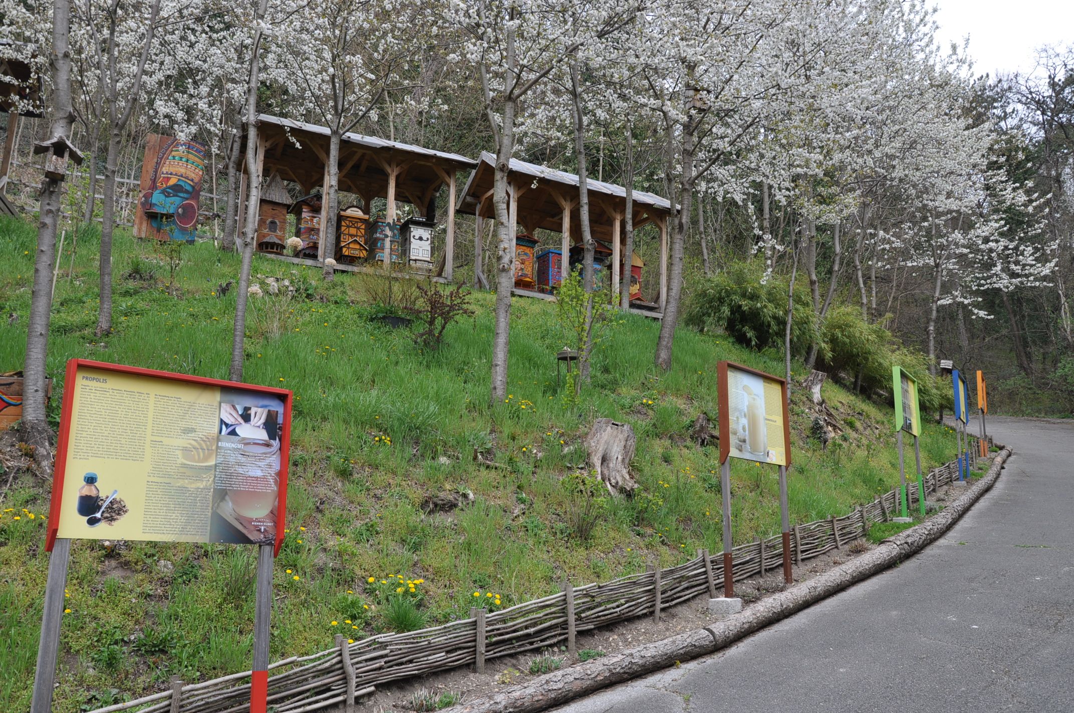 An educational bee trail with information boards and beehives under flowering trees.