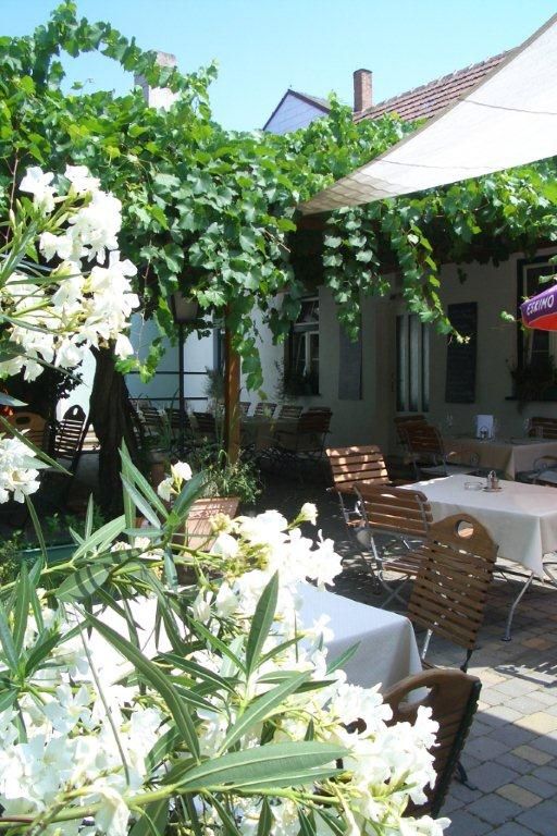 A cozy garden with wooden furniture, white flowers and vines.