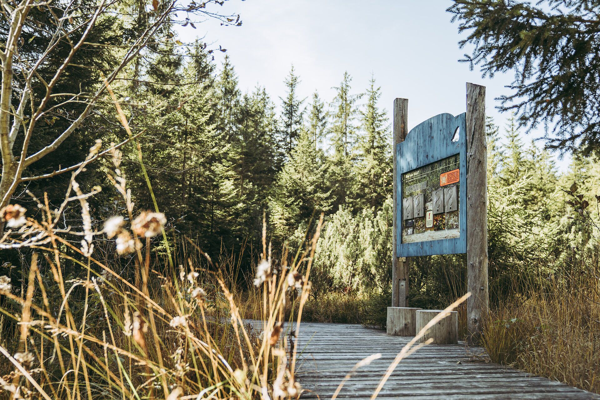 Ein malerischer Wanderweg führt durch das Hochmoor Leckermoos, umgeben von üppigen, grünen Wiesen und majestätischen Nadelbäumen. Die frische, klare Luft und das sanfte Rascheln der Blätter schaffen eine beruhigende Atmosphäre, die zum Verweilen einlädt. Hier, inmitten der Ybbstaler Alpen, entfaltet sich die Schönheit der Natur in ihrer reinsten Form.